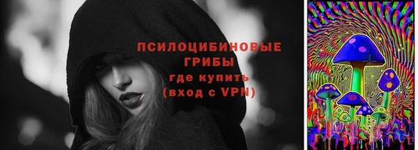 МДПВ Дмитриев