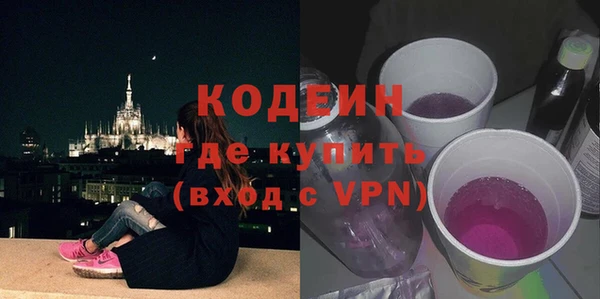 гашик Дмитров