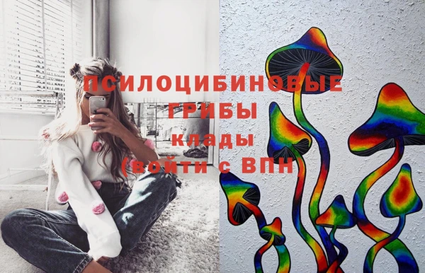 эйфоретик Бронницы